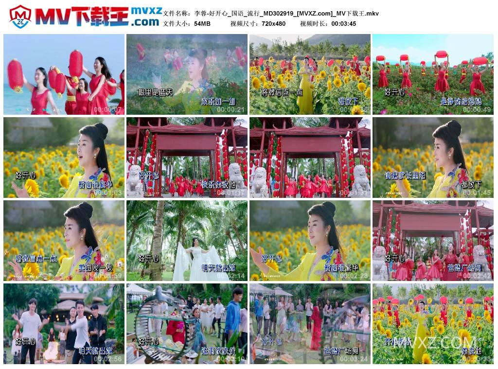 李蓉-好开心_国语_流行_MD302919